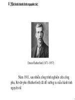 Mẫu Nguyên Tử Bo