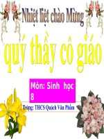 TIÊU CHUẨN ĂN UỐNG