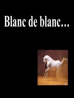 Vẻ đẹp của màu trắng