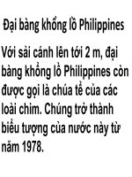 ĐẠI BÀNG PHILIPIN