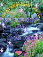 Bề mặt lục địa