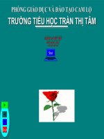 Giáo án dự thi ứng dụng CNTT