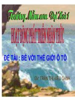 PTNT: THẾ GIỚI Ô TÔ