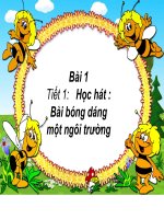 KHUNG CHÈN GIÁO ÁN DIỆN TỬ 2