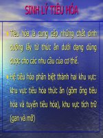 Sinh li tieu hoa
