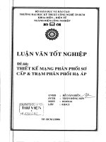 Thiết kế mạng phân phối sơ cấp và trạm phân phối hạ áp