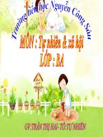TNXH 3 -Vệ sinh hô hấp