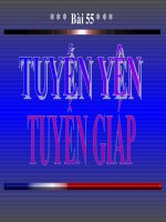 Tuyến yên- tuyến giáp