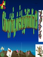 bài 79 trang 78 giải toán về tỉ số phần trăm (tt)