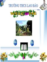 Bài 64. Các bệnh lây truyền qua đường tình dục