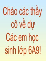 Sự phát triển của thực vật