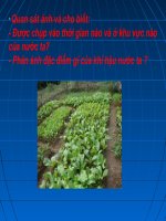 thien nhien nhiet doi am gio mua