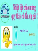 tuần 29. tiết 107