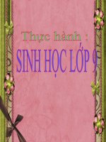 Thực hành: Ảnh hưởng lẫn nhau giữa các SV