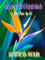 tim so trung binh cong lop 4