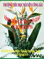 Địa lý địa phương_Đại An