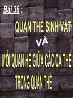Bài 36 - QTSV và các mối quan hệ giữa các cá thể trong QT