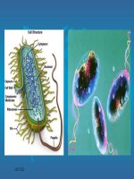 bai 7: Cấu trúc Trái Đất-Thạch quyển. Thuyết kiến tạo mảng