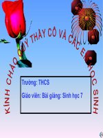 ĐA DẠNG VÀ ĐẶC ĐIỂM CHUNG CỦA LỚP THÚ