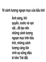 thiên nhiên kỳ quái