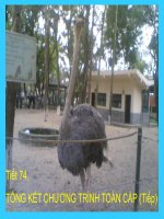 BAI 65 TK CHUONG TRINH TOAN CAP (Tiep)