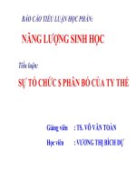 NANG LUONG SINH HOC 11