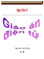 Tiết 30, 31 SỰ SỤP ĐỔ CỦA CHẾ ĐỘ A - PÁC - THAI