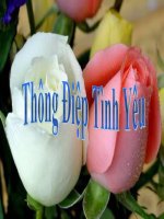 Thông điệp tình yêu