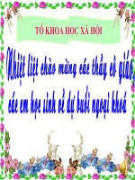 Ngoại khóa vô cùng hấp dẫn