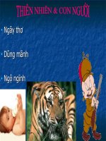 thiên nhiên và con người