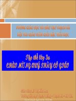 AAA Bai 47 Hoa - Day roi