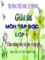 TDoc 1- hoa ngoc lan