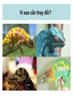 5- Ảnh - Vì sao cần thay đổi