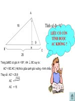 he thuc giua canh va hinh chieu