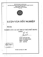 Nghiên cứu các kỹ thuật trải phổ trong CDMA