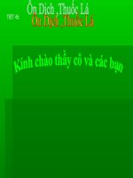 Ô dịch thuốc lá