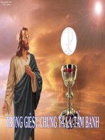 Ca ngoi thu quy gia nhat con nguoi co the lay duoc de dang