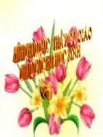 ON TAP CHUONG I HINH 7