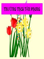 Bài 2 Hàm số bậc nhất