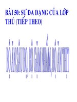 Bộ Ăn sâu bọ - bộ Gặm nhấm