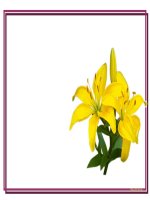 Ôn : Vẽ các dạng biểu đồ cơ bản