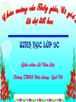 môi trường sống và sự vận động di chuyển