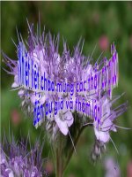 góp phần xây dựng nếp sống văn hóa ở khu dân cư