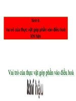 Sinh 6: Thực vật góp phần điều hòa khí hậu