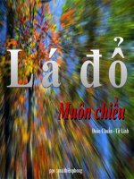 Lá đổ muôn chiều