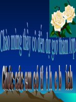 Chọn giống vật nuôi cây trồng