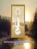 Sống theo quan điểm của Phật