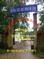 Bảo vệ các loài vật có ích