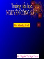 Sử dụng năng lượng gió