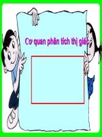 Co quan phan tich thi giaC